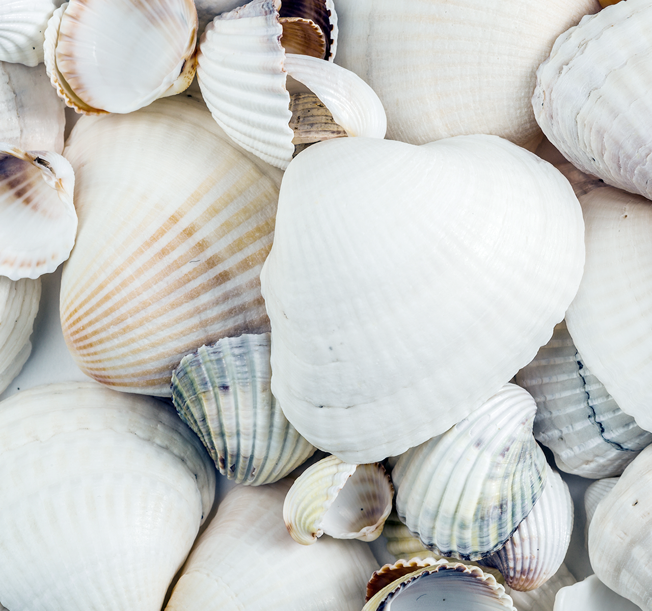 이창구 교수팀, ‘조개 껍질’ 활용 水처리 공정 고도화 기술 개발